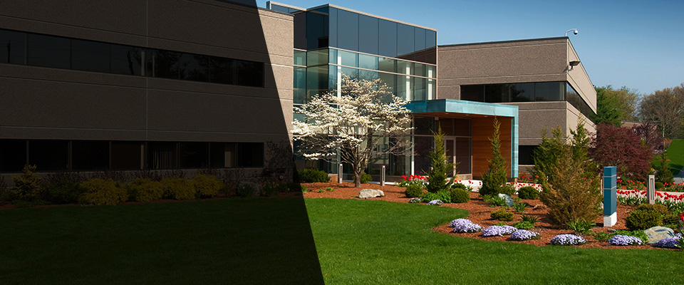 Seneca Falls Landscapers