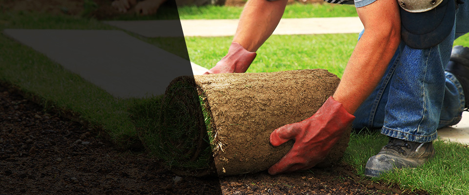 Seneca Falls Landscapers